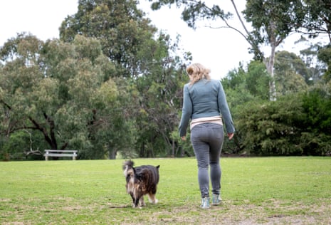 Joss the Finnish lapphund at the local dog park in Melbourne.