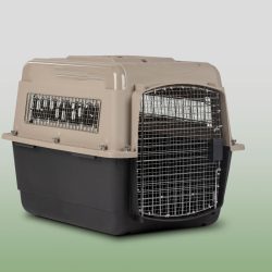 fsdfsdfdsf fsdfsdfdsf